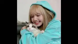 BLACKPINK#BLUECLOTHS#JENNIE#LISA#ROSÉ#JISOO