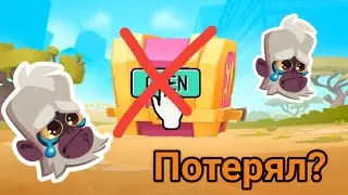 Как я потерял легендарный сундук? Смотрим новую карту в Zooba | Zooba