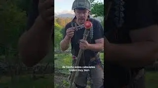 I bought a brushcutter attachment that's banned in the EU (and this is what I found out) 