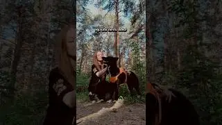 Пиши в комментах свои увлечения 🙂