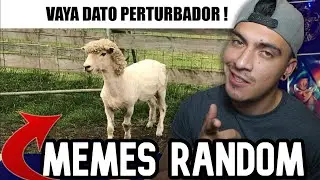 REACCIONANDO A '' MEMES RANDOM 