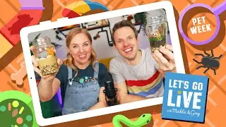 How To Look After Pets | Pet Week Ep1 | #65 LET'S GO LIVE