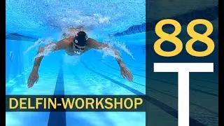 Der DELFIN-WORKSHOP - in 60 Minuten Delfinschwimmen lernen | PLAN No. 88