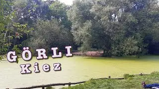 Görli-Kiez | Jungle in the City