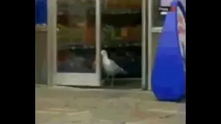 покупка рыбы image