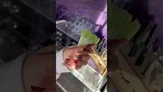 Кто не любит хорошую организацию?) 