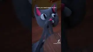 Noodle Cat 2023 TIK TOK