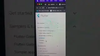 optimized the resource available at flutter.dev a beginner in 2023 🚀🚀🚀