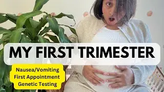 FIRST TRIMESTER PREGNANCY RECAP! Symptoms, Craving, GeneticTest #pregnant  #firsttrimesterpregnancy