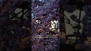 Испытания, Великая награда ждет тебя.