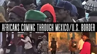 Migrants Hiding In Basements! | Migrant Crisis New York