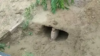 Children Making Mud House |Beautiful Mud Home children Making |Amazing Mud House In Village Punjab |