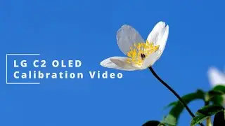 LG C2 OLED Calibration Settings