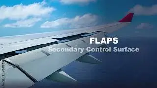 FLAPS (Secondary Flight Control Surface)