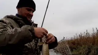 По Мышанке с ветерком Ловим щуку на дорожку