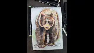 Ведмідь  Скетч маркери