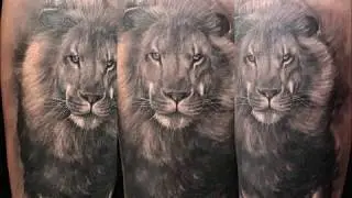 Best Lion tattoo designs ideas in the world