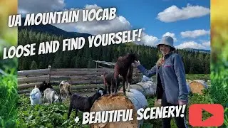 Essential phrases for hiking in the Ukrainian mountains