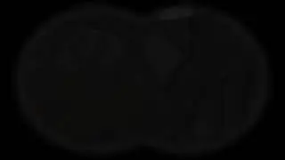 dsh mod: день 11