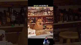 Animals funny seens 🤣🤣 #amazingfacts #comedy #funny