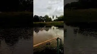 Парк Фестиваль Гомель