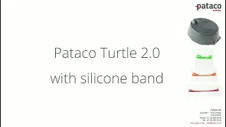 Pataco Turtle 2.0 with silicone band