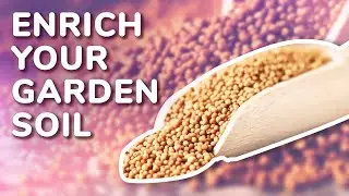 How to Enrich Garden Soil Organically | Soil Fertilizer