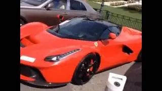 Какая красавица!
