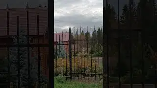 Пермь Д.Жебреи 🥕дачный посёлок ,,Чистые ключи"осенняя прогулка 👣#пермскийкрай #осень