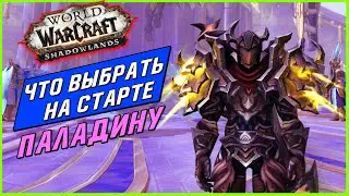 ПАЛАДИН ШАДОУЛЕНДС ГАЙД | ЧТО НУЖНО ДЛЯ СТАРТА?