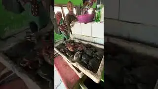 Pasar Ikan Pantai Depok Bantul