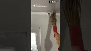 Опасные животные Индии!