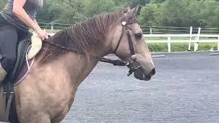 Lise’s freestyle
