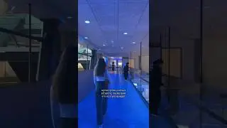Поступить в Финляндию🇫🇮 было лучшим решением