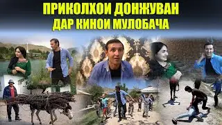 ПРИКОЛХОИ ДОНЖУВАН ДАР КИНОИ МУЛОБАЧА
