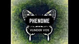 Vlinder Vos - Phenome