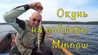СПИННИНГ под ДЖИГ и ВОБЛЕРЫ. Ловим ОКУНЯ.