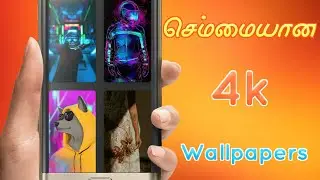How to Auto Change Wallpaper In Android | 4k Wallpapers | Any Mobiles | Tech Trending Tamil