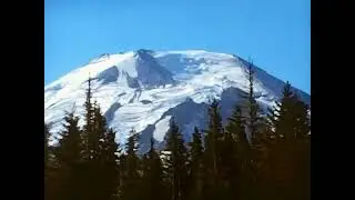 #MSH45