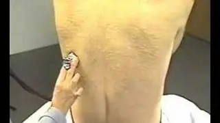 examination of the thoracic and respiratory system 7
