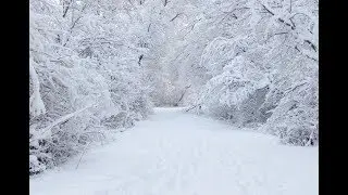 ПЕРВЫЙ СНЕГ