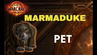 HOW TO OBTAIN Marmaduke / WOW / PET / WorldOfWarcraft