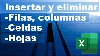 ¿Cómo Insertar y eliminar: Filas, columnas, celdas y hojas en excel?
