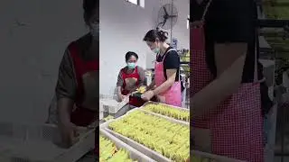 سرعة العمل في الدول المتقدمة
