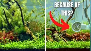 SOMETHING IS WRONG WITH THE TWINSTAR STERILISER EXPERIMENT TANKS
