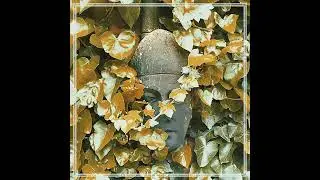 Halogen Star - The Eleventh Revolve