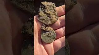 Нашли солдата с медалью