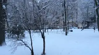 колокола