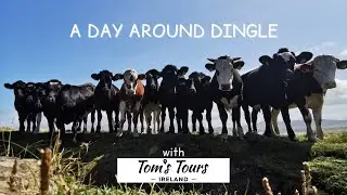 A day around Dingle