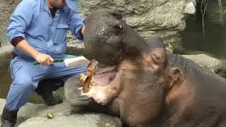 Чистка зубов )